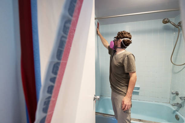 Best Mold Remediation for Healthcare Facilities  in Ashland, OR