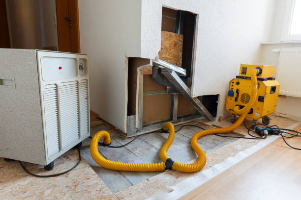 Best Indoor Air Quality Assessment  in Ashland, OR