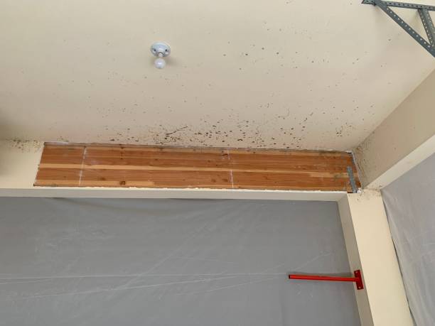 Best HVAC Mold Inspection and Cleaning  in Ashland, OR